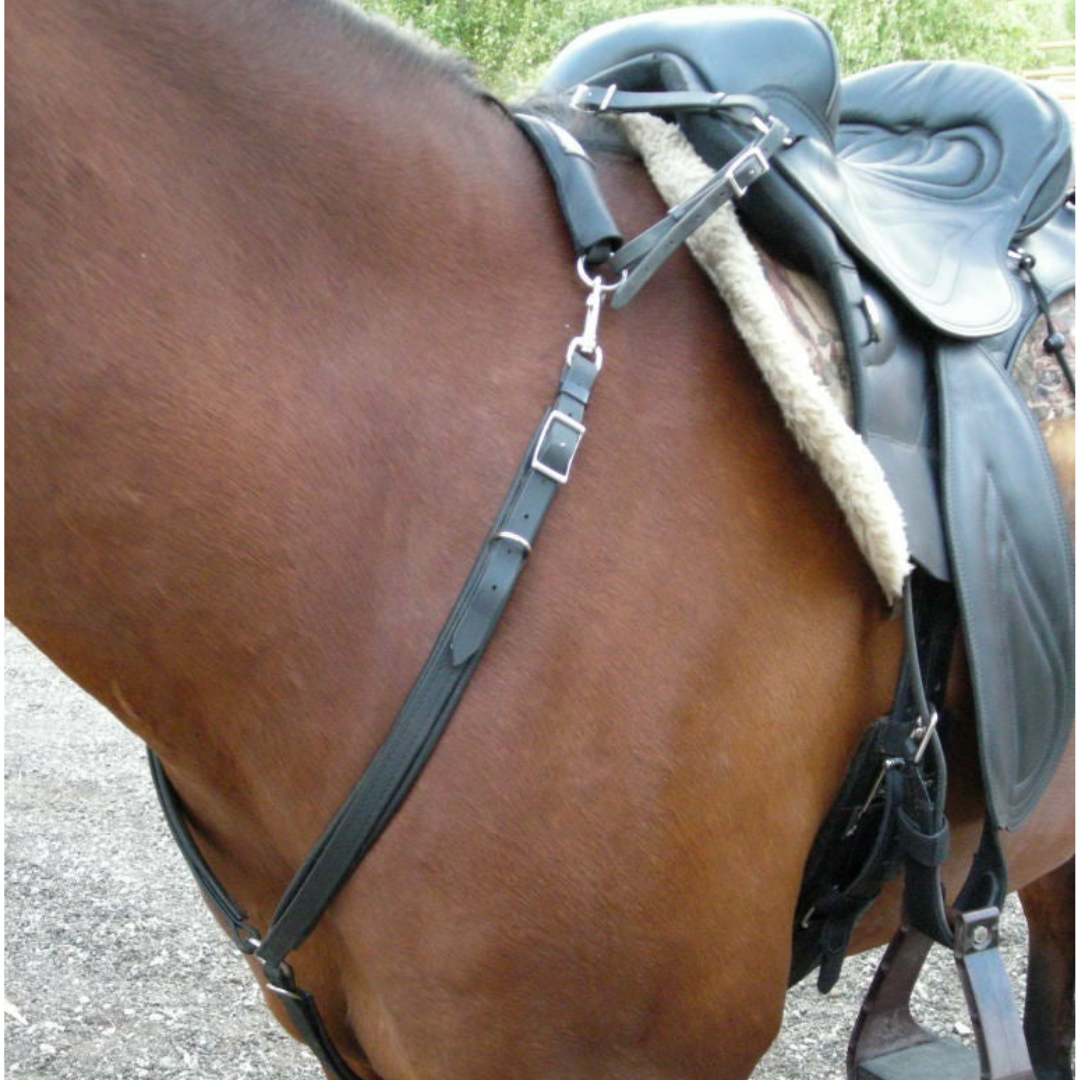 Sensation Ride™ Arab/Cob Sized Breastplate Lined With Leather Padding on a Horse