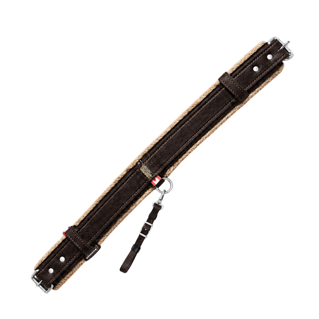Sensation Ride™ Rear Cinch - Dark Brown with Silver Hardware - Top View