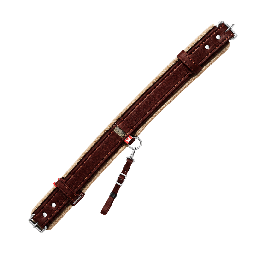Sensation Ride™ Rear Cinch - Mahogany Brown with Silver Hardware - Top View