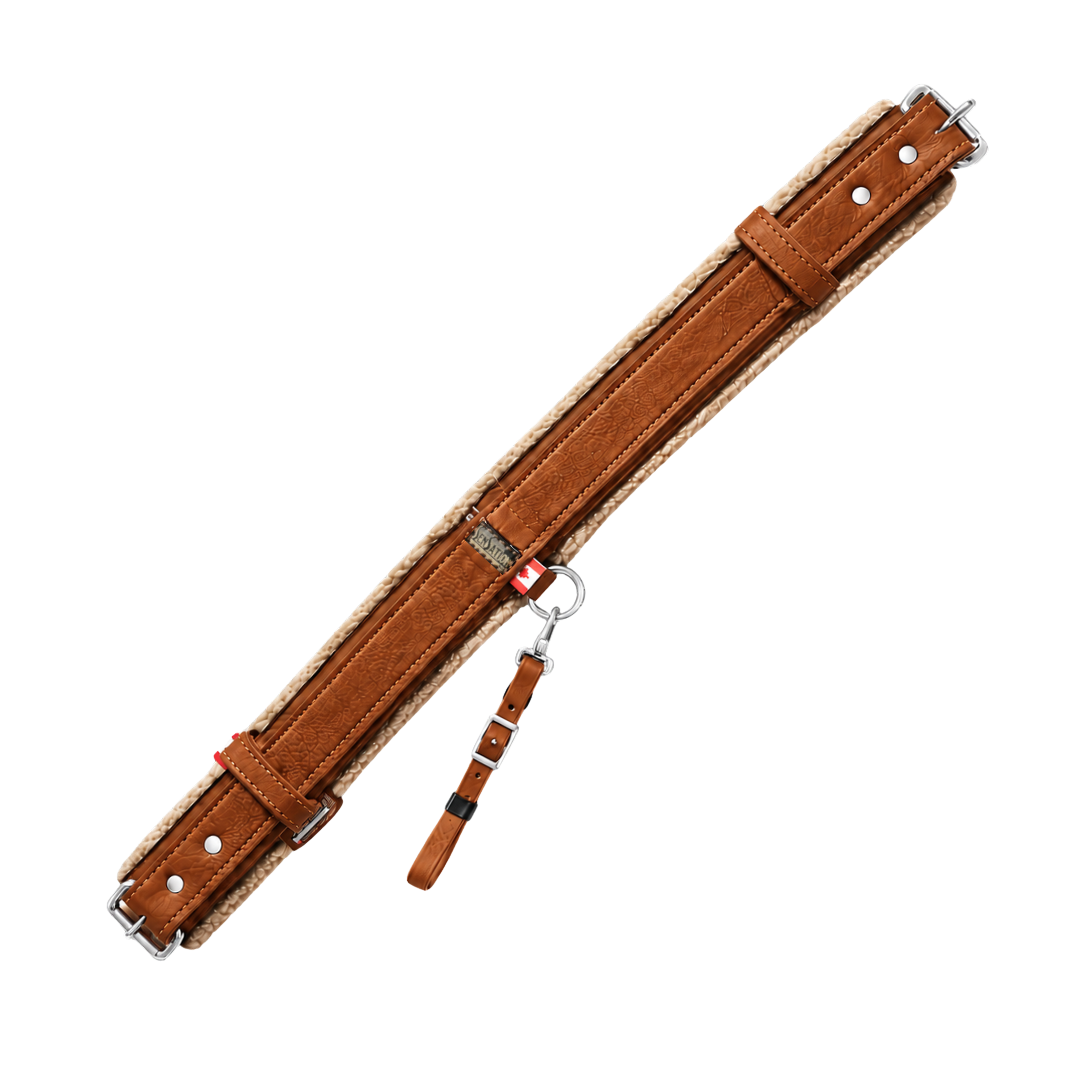 Sensation Ride™ Rear Cinch - Tan with Silver Hardware - Top View