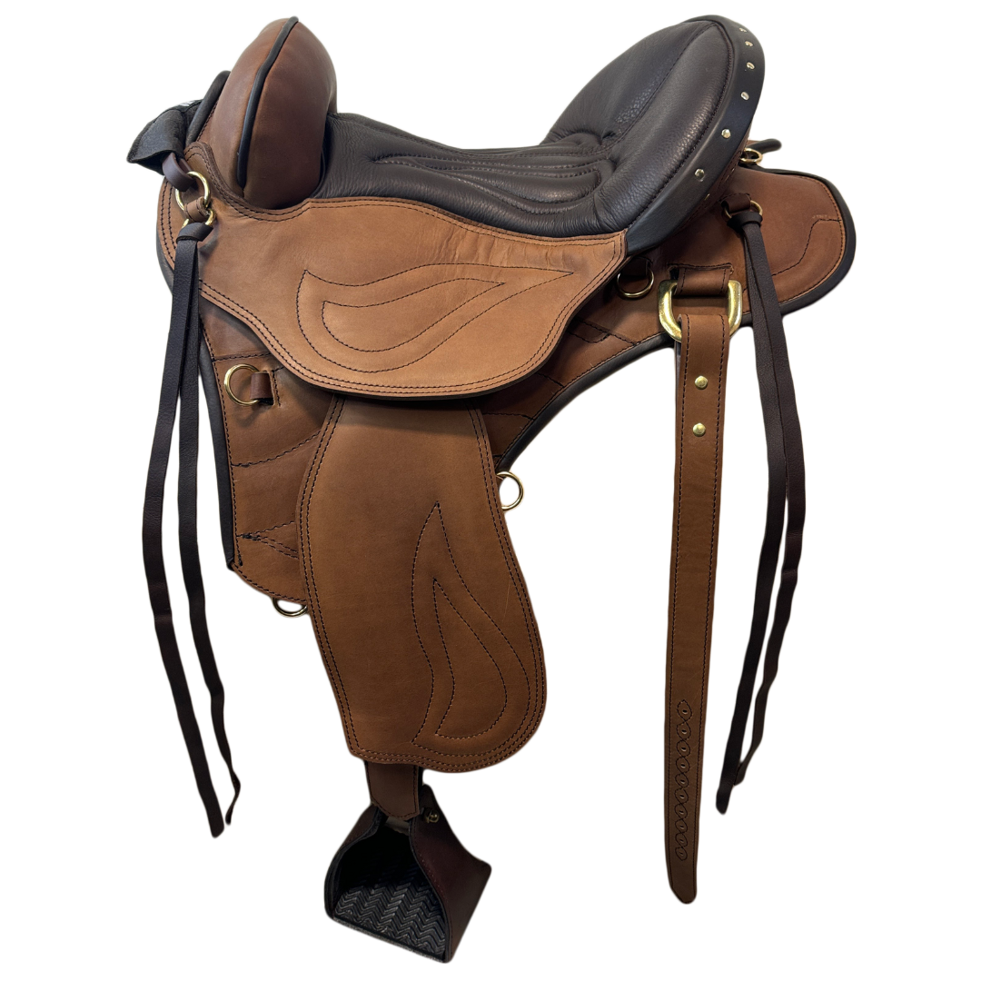 Toffee & Dark Brown Western Sport with Cheyenne Roll with Nickle Plated Studs