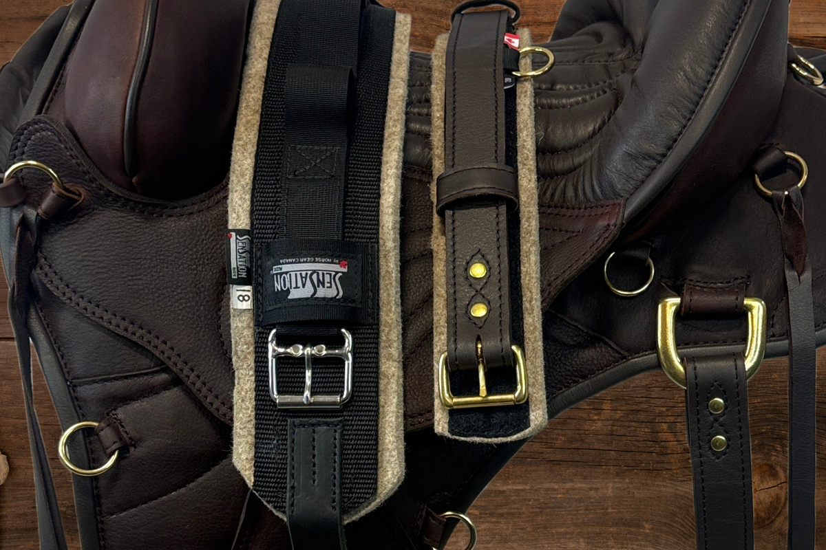 Cinches Sensation Ride™ | Treeless Saddle Girths, Cinches & Accessories