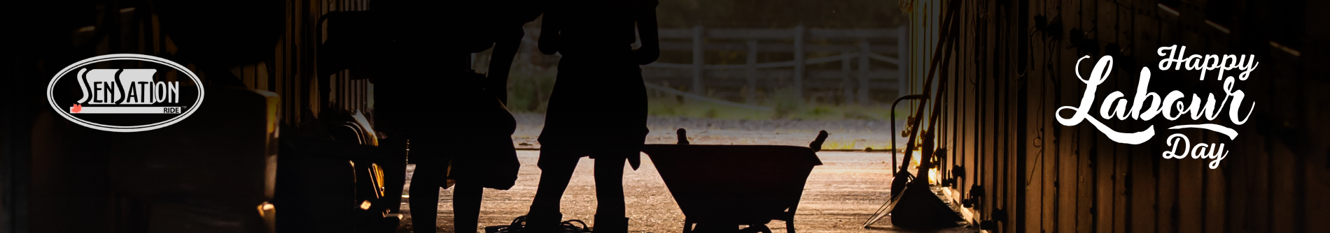 Horse background