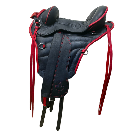 Horse gear best sale