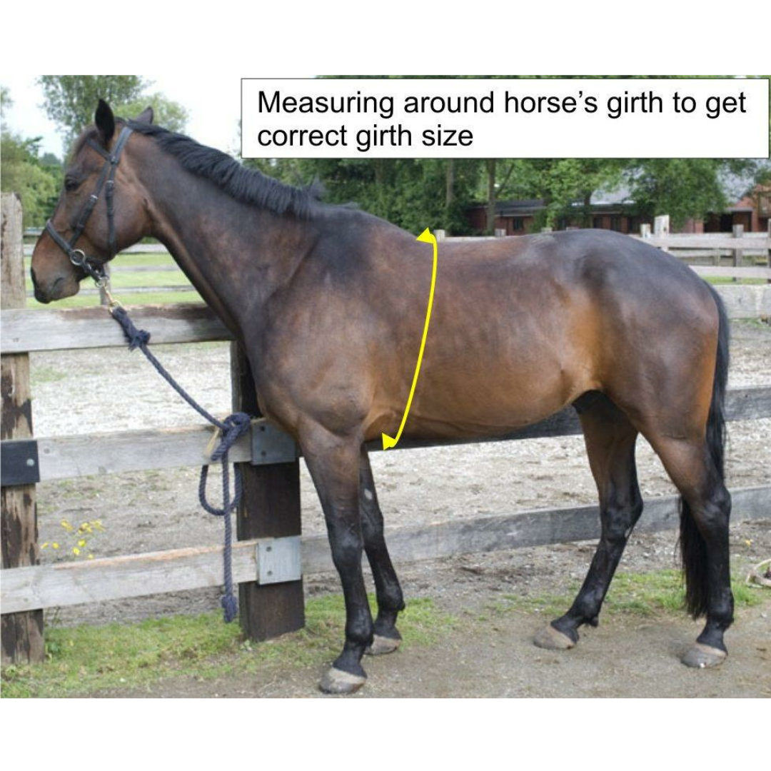 Sensation Ride™ Self Centering Girth - Liner Included - Sensation Ride ...