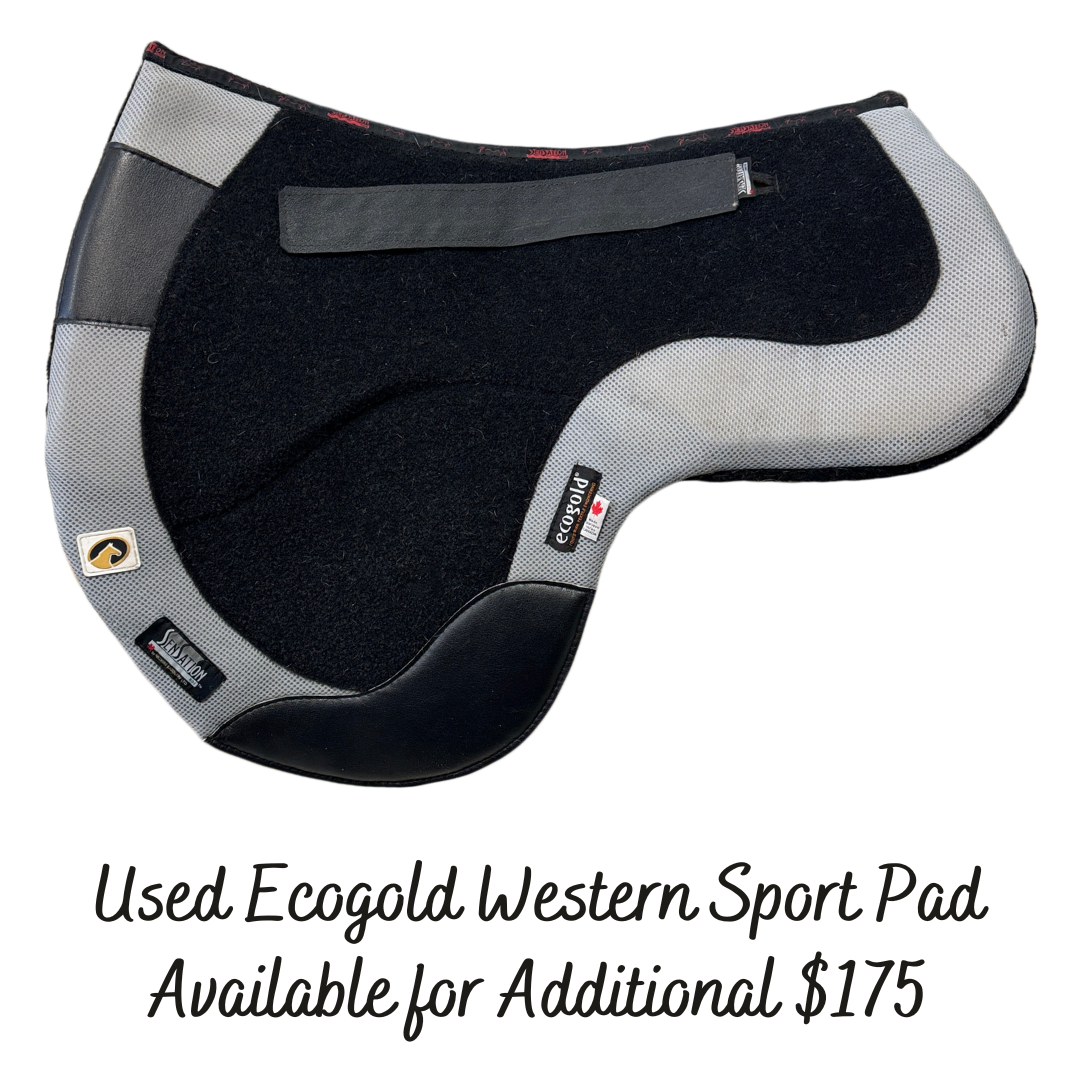 Sensation Ride™  16" Western Sport Saddle - Classic Model - In Stock